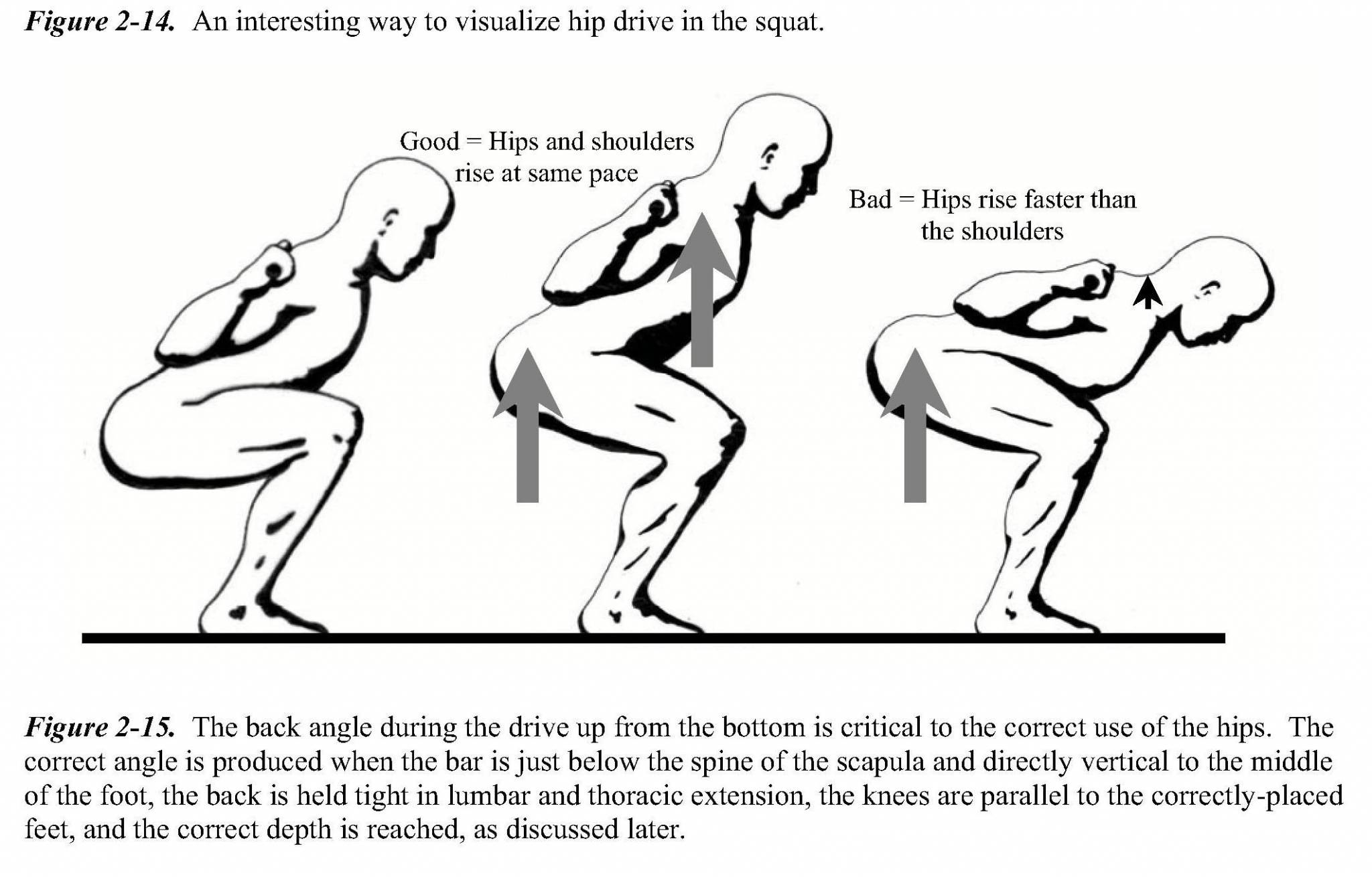 HighBar vs LowBar Squat Maui Athletics