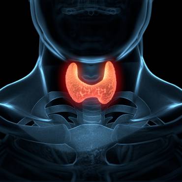 Understand Your Thyroid Tests