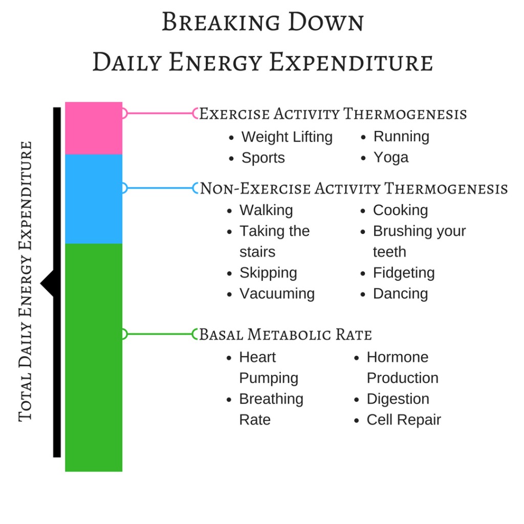 Non Exercise Activity Thermogenesis Maui Athletics