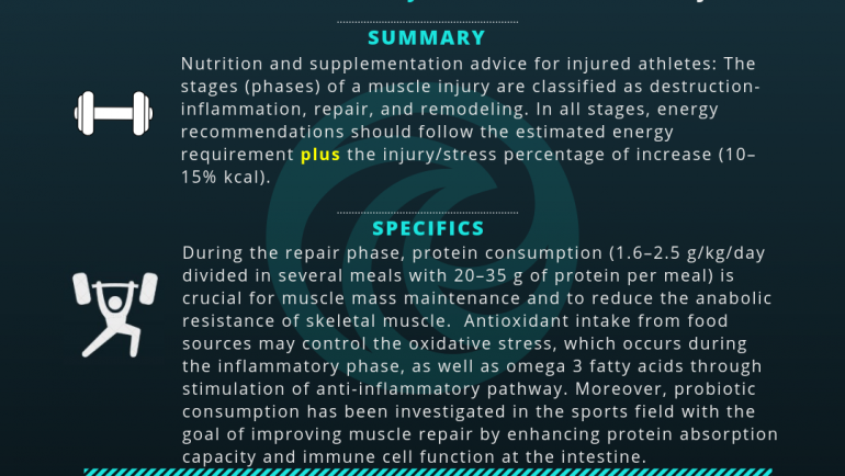 Nutrition for the Recovery Process in Muscle Injuries