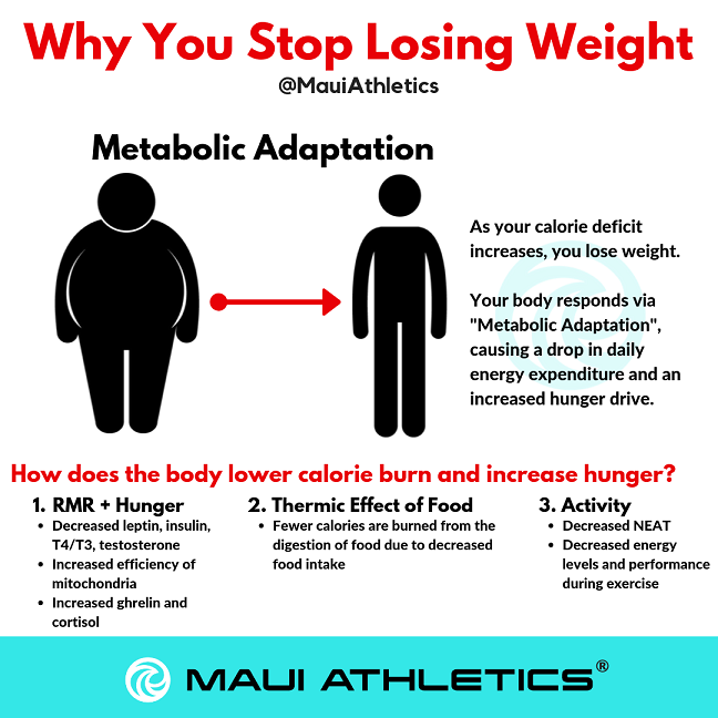 Metabolic Adaptation: The Body's Defence to Fat Loss — Five