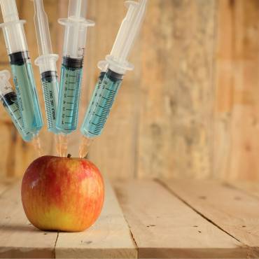 Genetically Modified Organisms